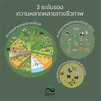 ความหลากหลายทางชีวภาพ pdf